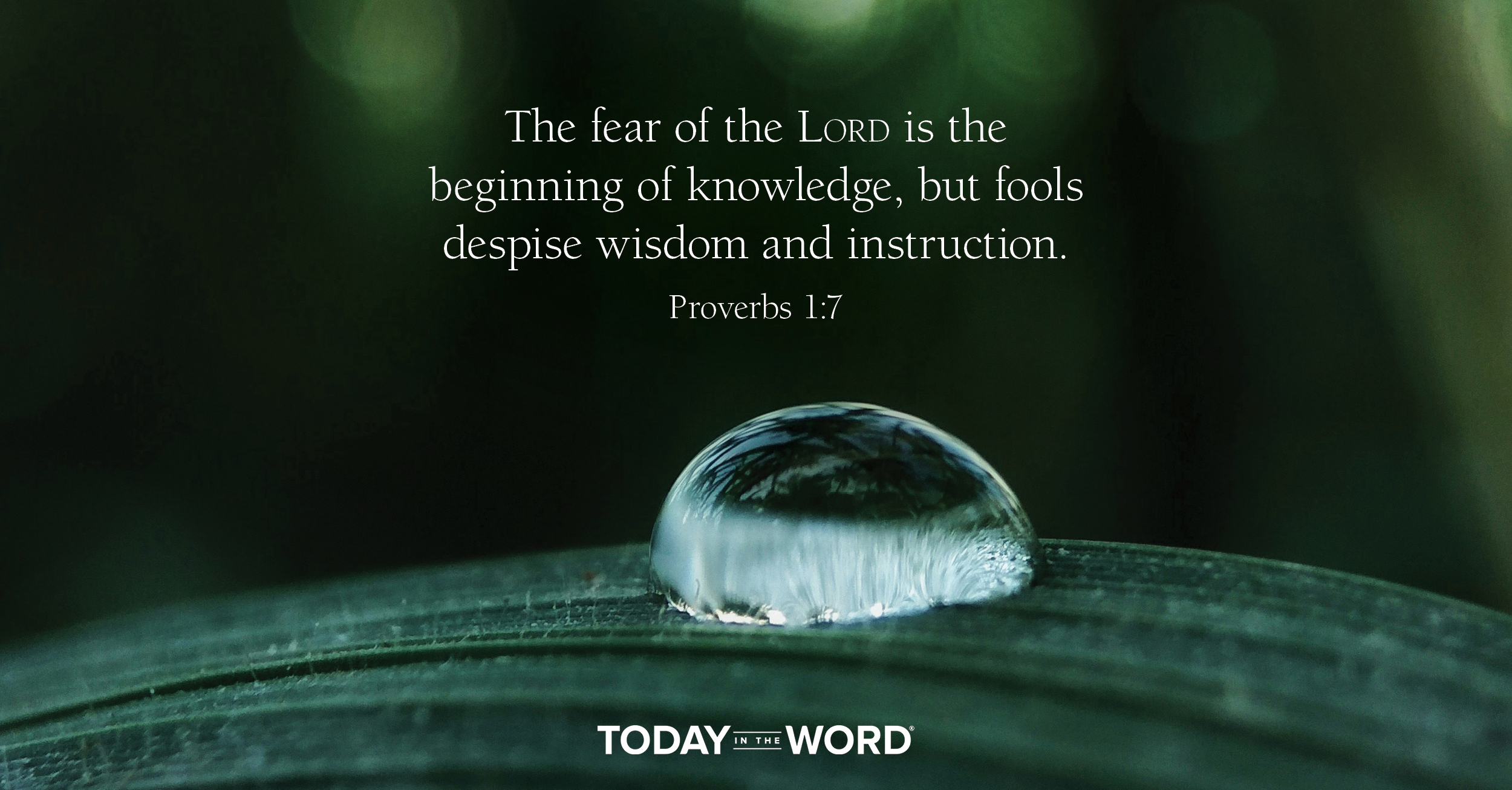 Daily Devotional Bible Verse | Proverbs 1:7 The fear of the Lord is the beginning of knowledge, but fools despise wisdom and instruction.