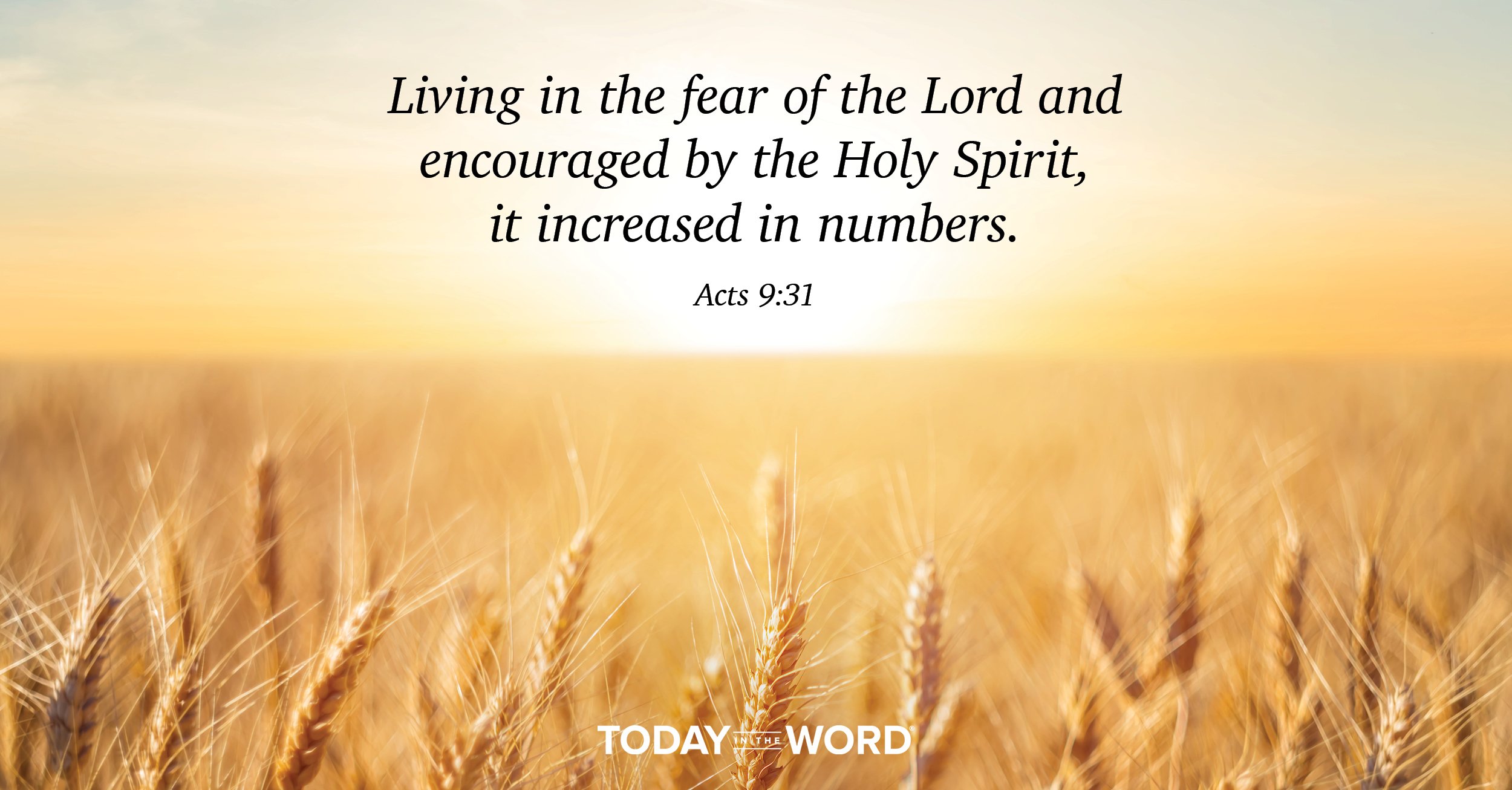 Daily Devotional Bible Verse | Acts 9:31 Living in the fear of the Lord and encouraged by the Holy Spirit, it increased in numbers.