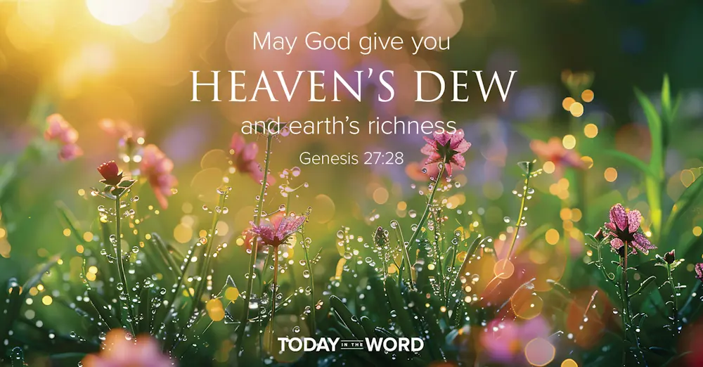 Today's daily devotional Bible verse: Genesis 27:28 May God five you Heaven's Dew and earth's richness | Dew drops on wild flowers in the morning sun.