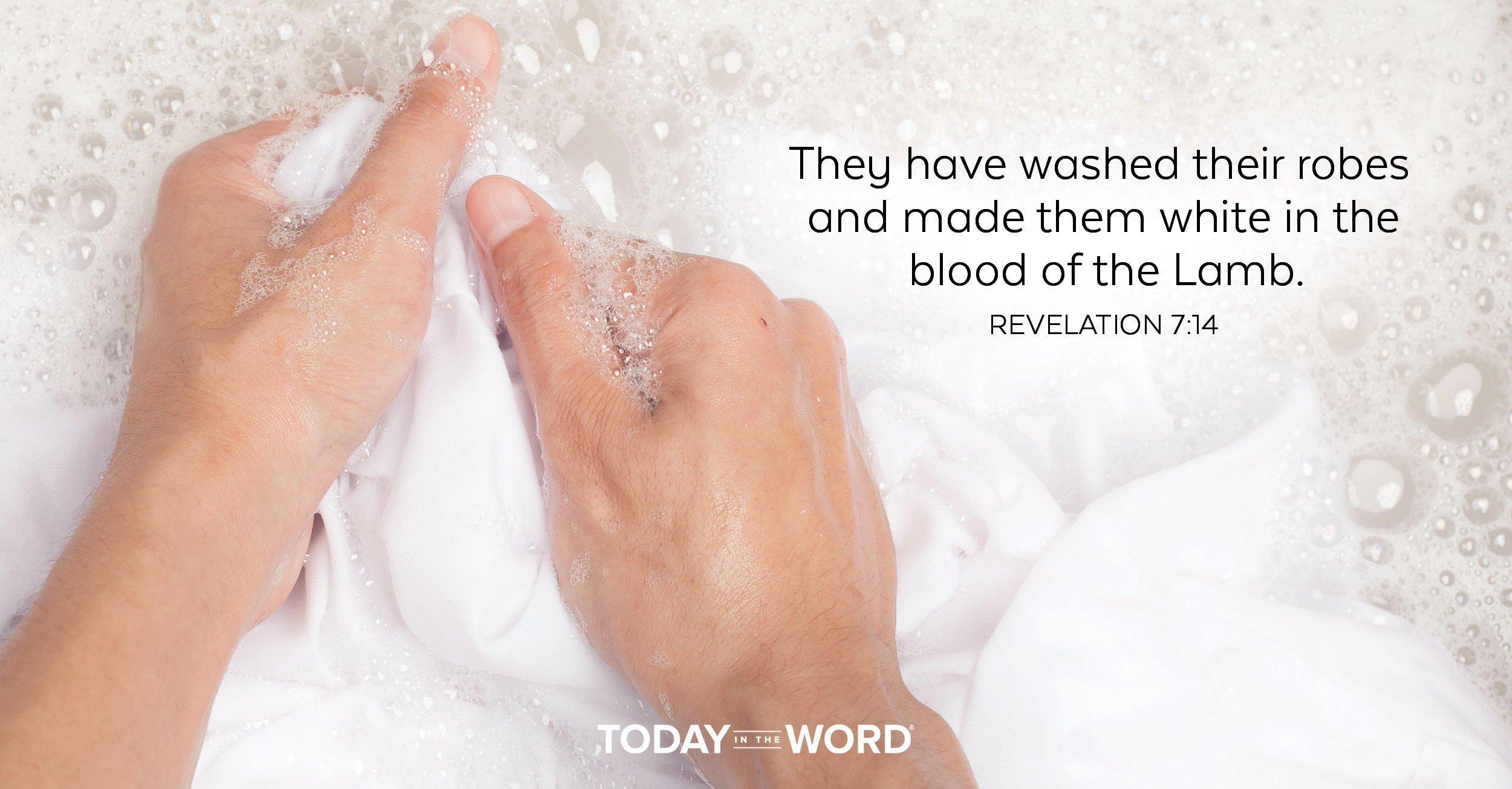 Today's daily devotional Bible verse: Revelation 7:14 They have washed their robes and made them white in the blood of the Lamb. | Someone hand washing a white cloth