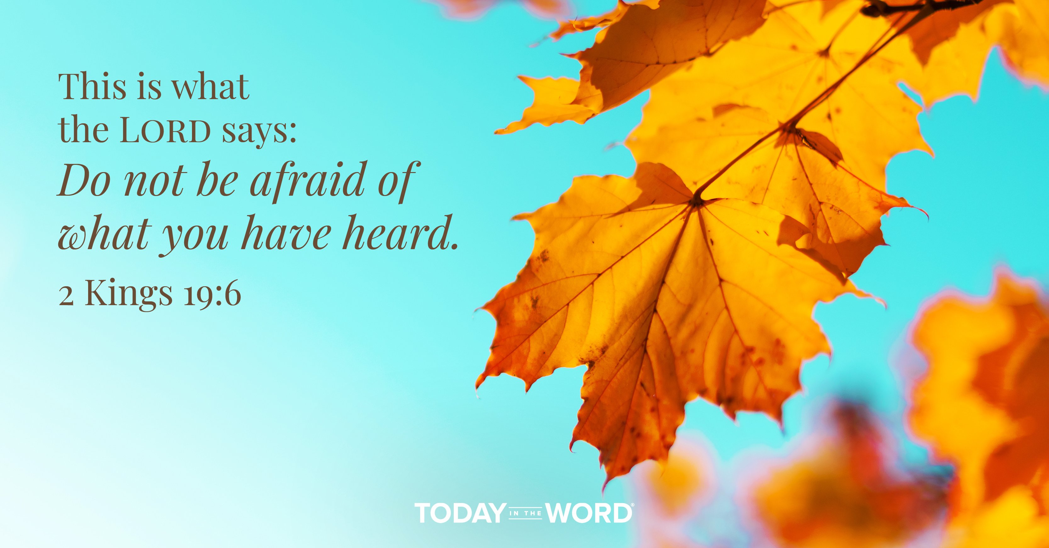 Daily devotional Bible verse 2 Kings 19:6 This is what the LORD says: Do not be afraid of what you have heard. | Fall leaves on a blue background.